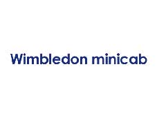 Wimbledon Mini Cab